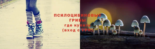 спайс Баксан