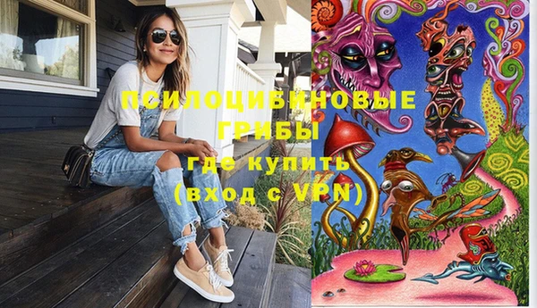 спайс Баксан