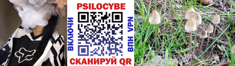 Псилоцибиновые грибы Magic Shrooms  Ясный 